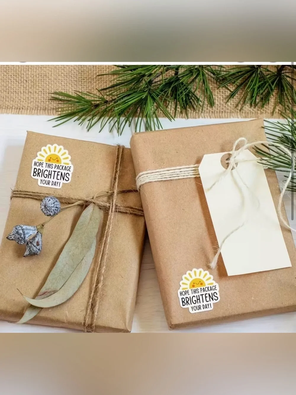 Hope This Package Brightens Your Day Stickers- 100 pieces